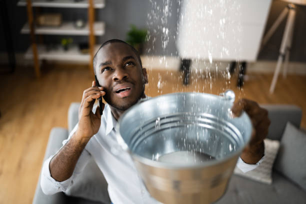 Best Local water damage restoration  in Una, WA