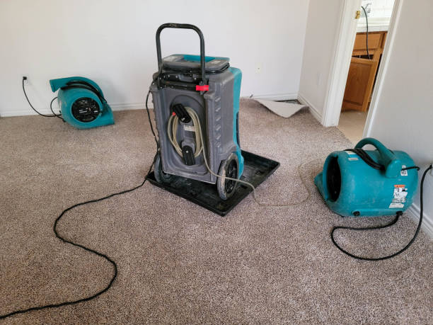 Best Water damage restoration services  in Una, WA