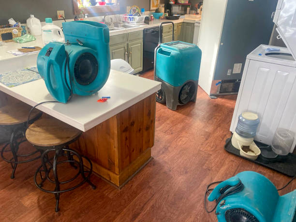 Best Water damage mitigation services  in Una, WA