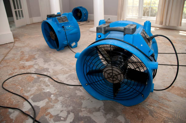 Best Water damage cleanup near me  in Una, WA