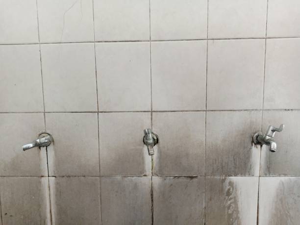 Best Local water damage restoration  in Una, WA