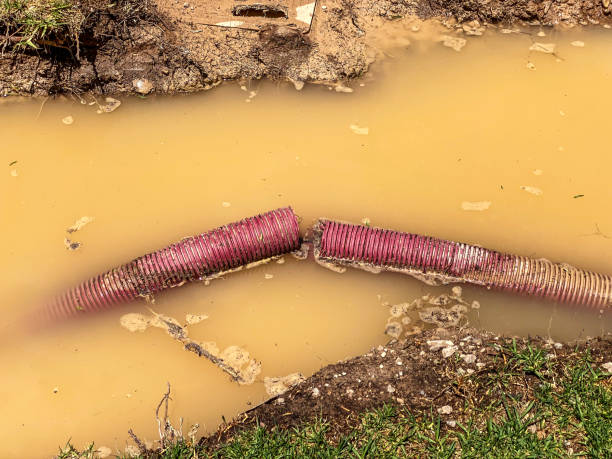 Best Basement water damage restoration  in Una, WA