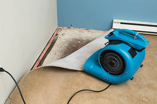Best Ceiling water damage repair  in Una, WA